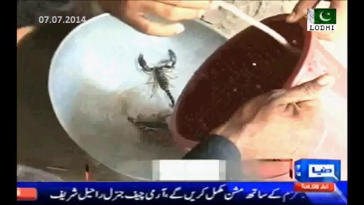 Sindh Govt bans Black scorpion business in Tharparkar Sindh - Rs 20 Lac scorpion is being sold in Rs. 50,000-512x384
