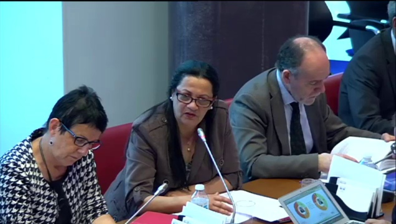 Mission CAF - Commission des Affaires Sociales du 8 Juillet 2014