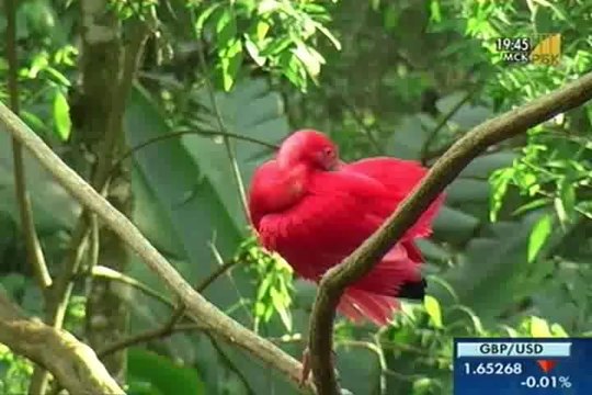 Бразилия - Отдых и туризм