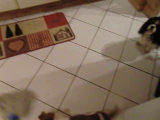 Juliane aide à passer la serpillère