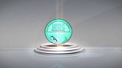 2014 Logo norrland husky