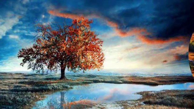 GRUP ABDAL-ŞİFA İSTEMEM BALINDAN