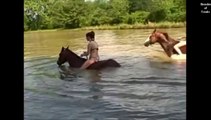 GIRL and HORSE Compilation 2014 - hermosa chica y caballos - مراءة مع حصان