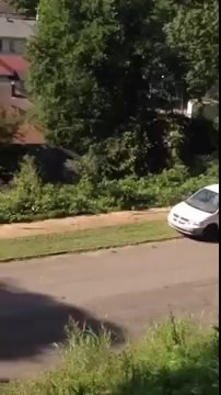 Delivery man throwing packages in the ravine!