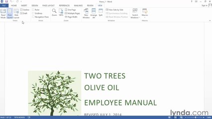 Word 2013 Power Shortcuts Tutorial -Changing the document view