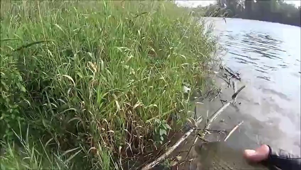 4mn  d'angoisse et il est repartie  ouf il va nous faire des petits :)♥