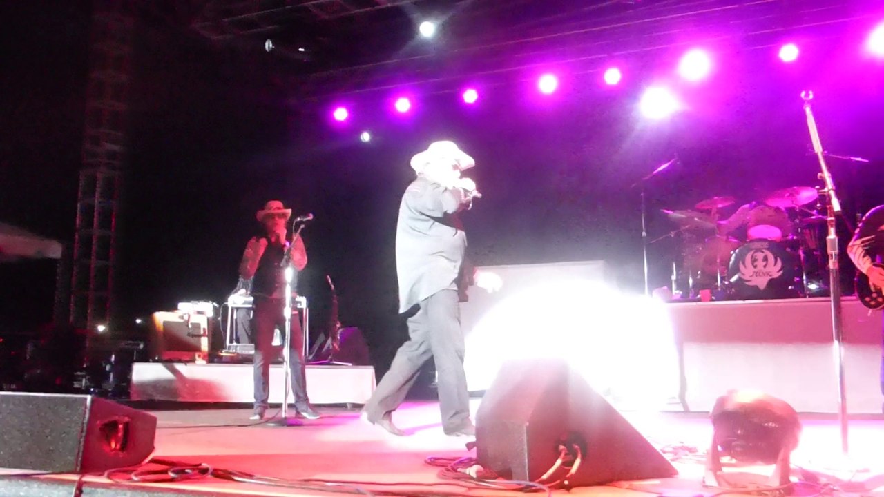 Hank Williams, Jr. - Guitar Medley/Family Tradition (Live in Houston - 2014) HQ