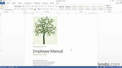 Navigating your document