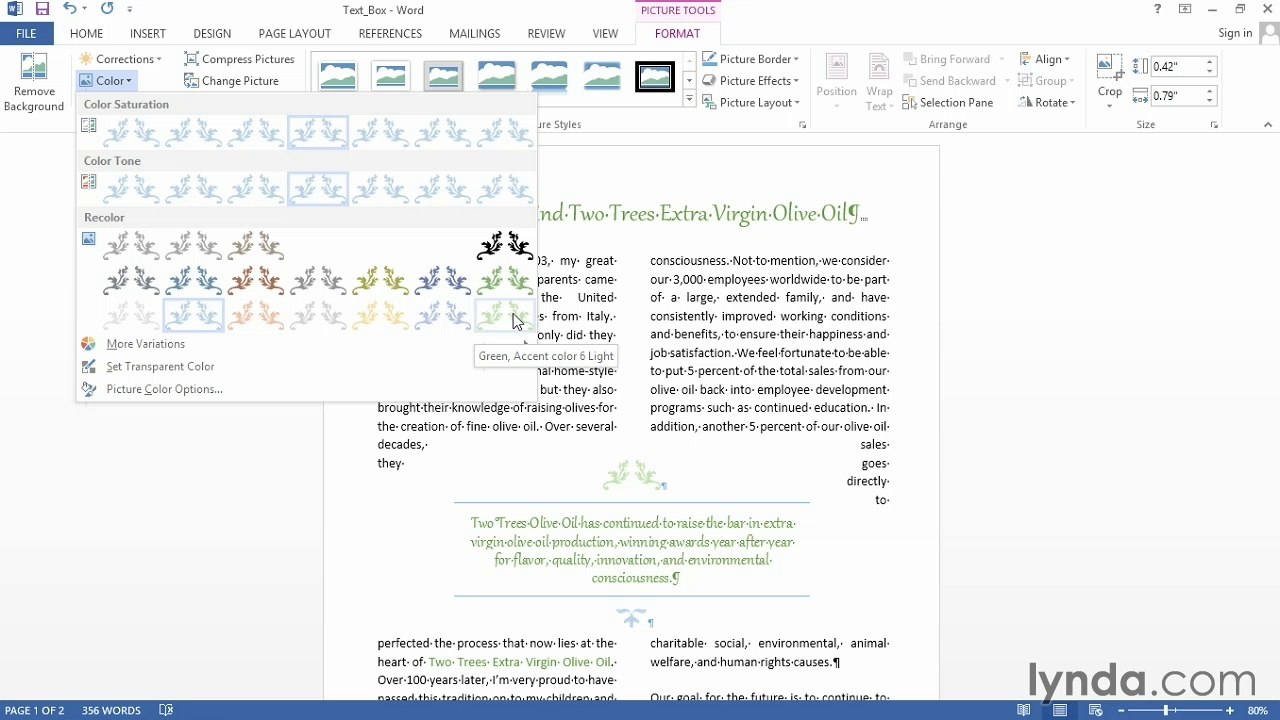 Word 2013 Power Shortcuts Tutorial Creating text insets