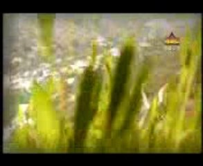 Gall Niki Jee Nahi - Jawab Chalo Koee Gul Nahi - MUNEER AWAN