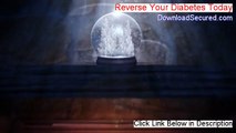 Reverse Your Diabetes Today PDF Download (reverse your diabetes today reviews 2014)