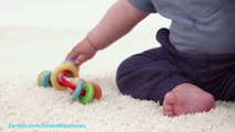 Baby Developmental Milestones for Sitters
