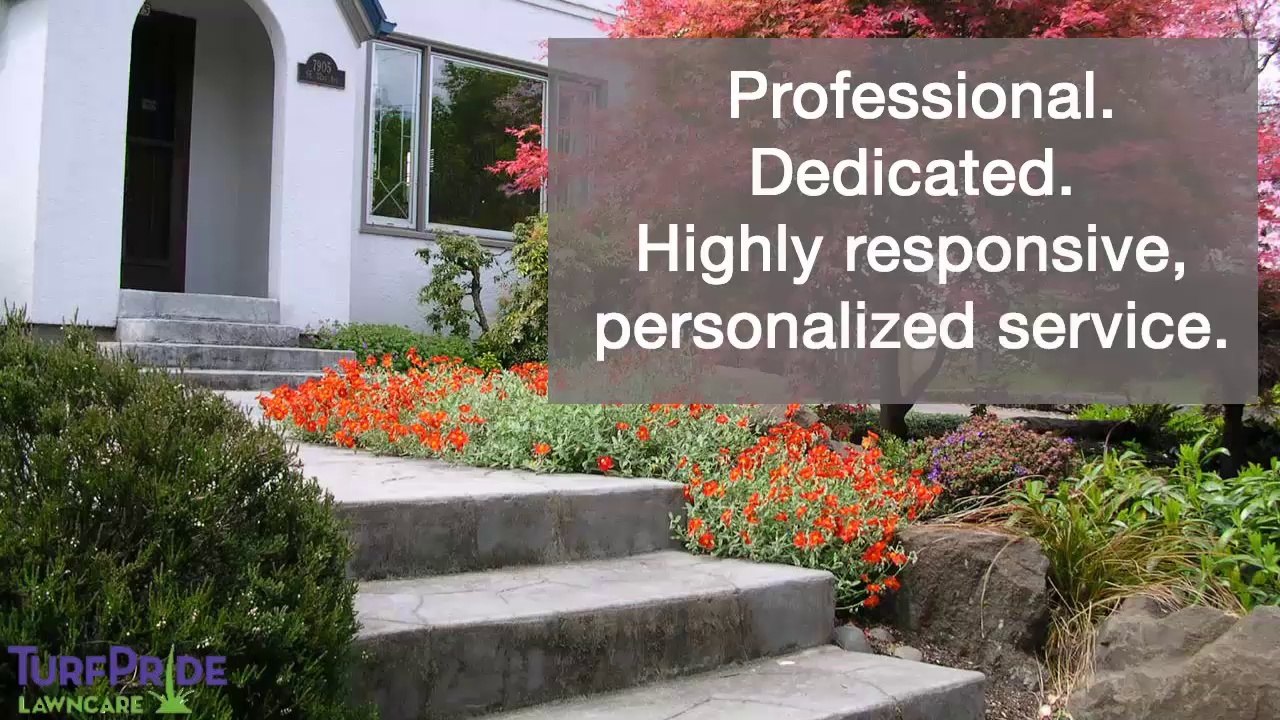 Alpharetta Lawn Care Experts Share Tips On How To Prevent Your Lawn From Acquiring Diseases And Pests