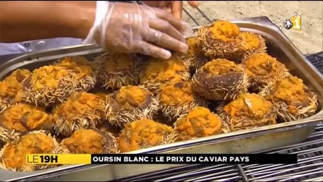 Oursins : le caviar de l'île