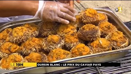 Oursins : le caviar de l'île
