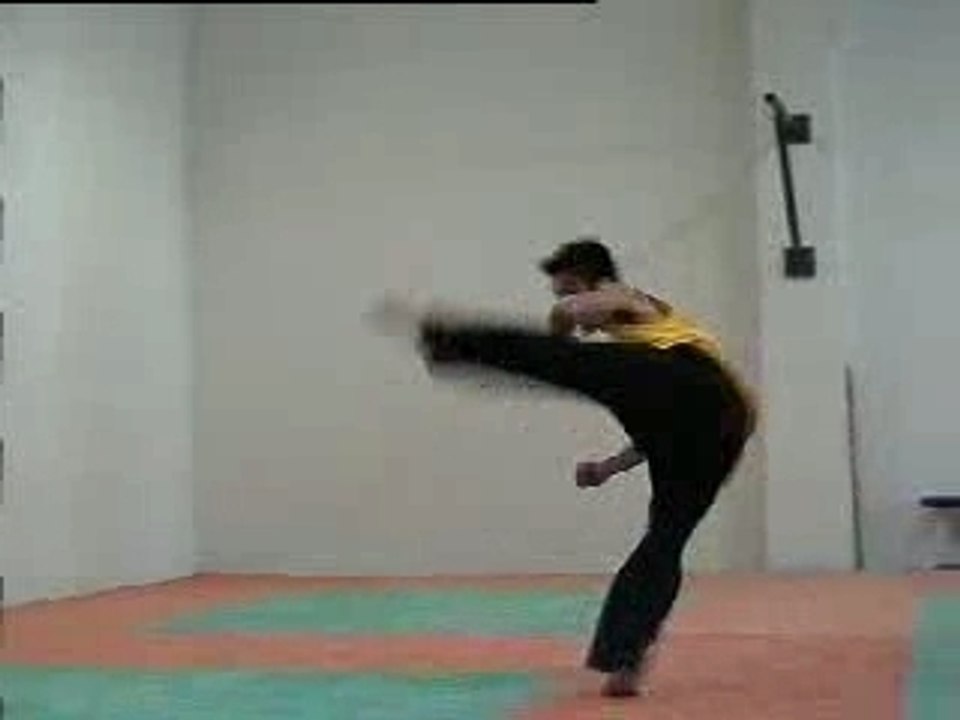 Taekwondo-kick voltige