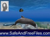 Get Dolphin Aqua Life 3D Screensaver 3.1 Serial Number Free Download