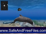 Get Dolphin Aqua Life 3D Screensaver 3.1 Activation Key Free Download