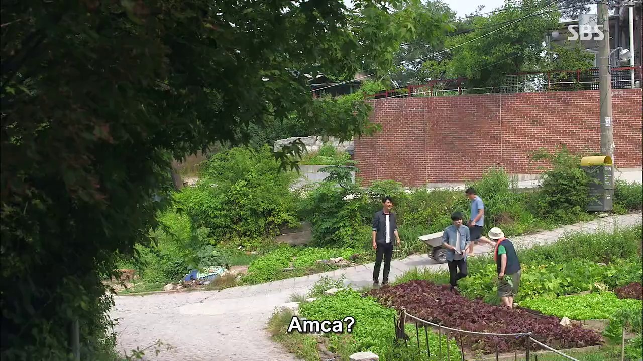 SArıldı.E16.AF