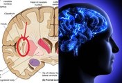 Researchers Finally Discover 'On/Off' Sleep Switch In Brain... By Accident