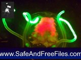 Get Enchanted Jellyfish of the Sea Screensaver 1.2 Serial Code Free Download