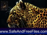 Get Fantastic Felines Screensaver 1.0 Serial Key Free Download