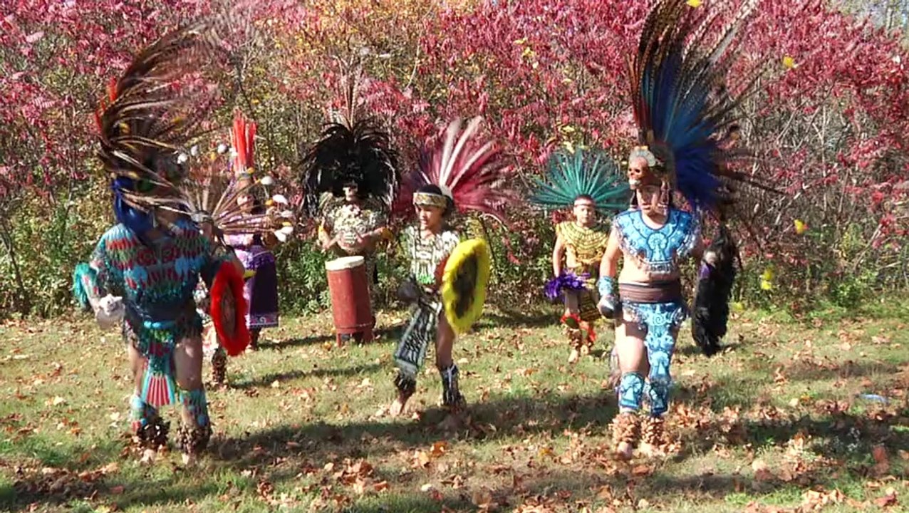 LIVE SHOW. DEMO. Marian Morgunova (Camera operator/videographer).