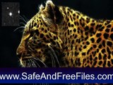 Get Fantastic Felines Screensaver 1.0 Activation Key Free Download