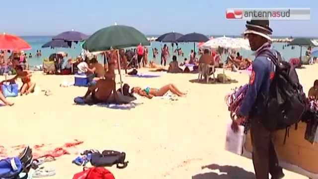 TG 08.07.14 Allarme alga tossica, primi casi a Bari