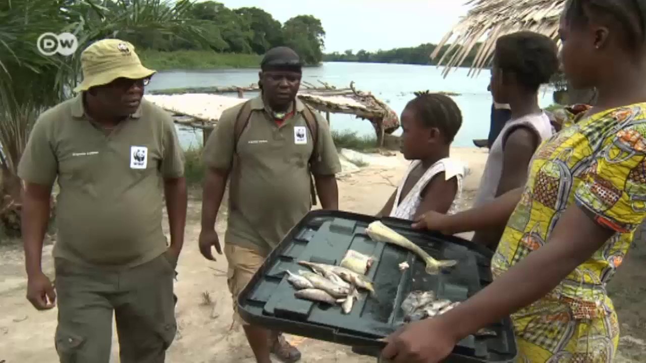 Kongo: Medizinboot wirbt für Umweltschutz | Global Ideas