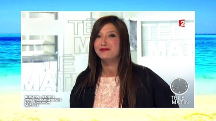 Anissa Arfaoui, Tpmp mardi 8 juillet 2014