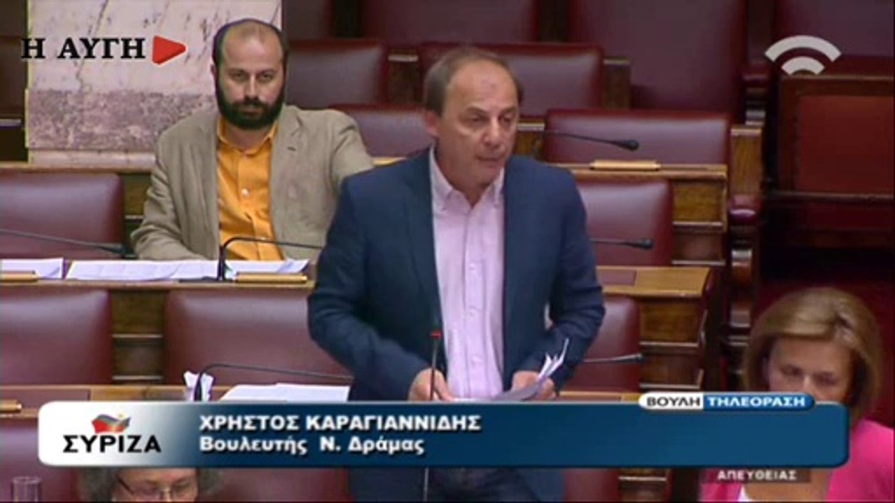 Καραγιαννίδης Χρήστος για μικρή ΔΕΗ