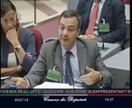 Roma - Audizioni sul decreto per la semplificazione - Unioncamere e Confprofessioni (08.07.14)