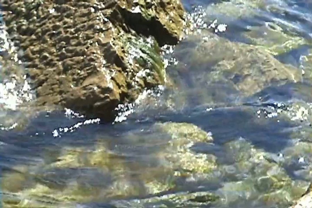 Begrudgingly (Experimental Video by Tom Vasilj)