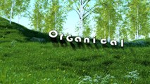 Organical Botanicals | Rare, Exotic, Seeds - Herbs - Specimens