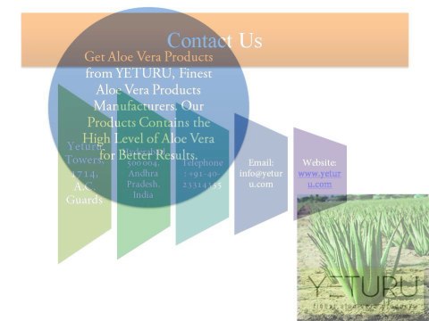 How Aloe Vera Prevents Hair Loss & Promotes Hair Growth