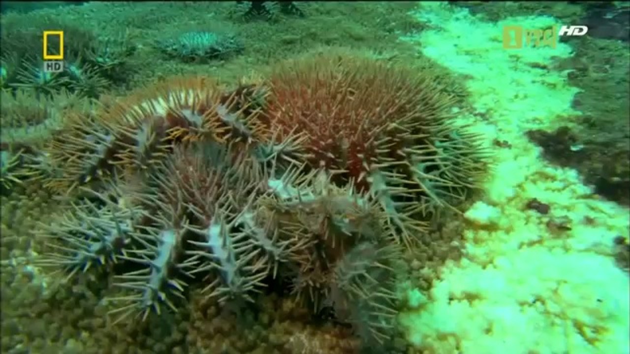 cho thuê nhà bạt không gian giá rẻ - cho thuê nhà bạt không gian tại hà nội 0967 20 2222