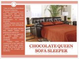 Designer and Modern Queen Sofa Sleeper