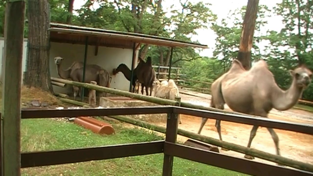 Besuch im Saarbrücker Zoo
