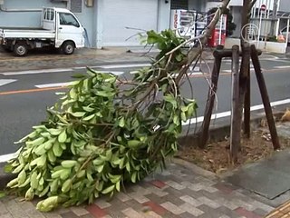 Тайфун «Неогури» грозит принести в Японию наводнения