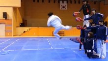 Taekwondo Quadruple kick