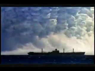 Vir foods limited (7)