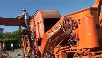 BONELLE (Pt) RIEVOCAZIONE BATTITURA DEL GRANO 2014