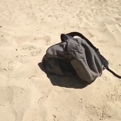 what is in this bag.