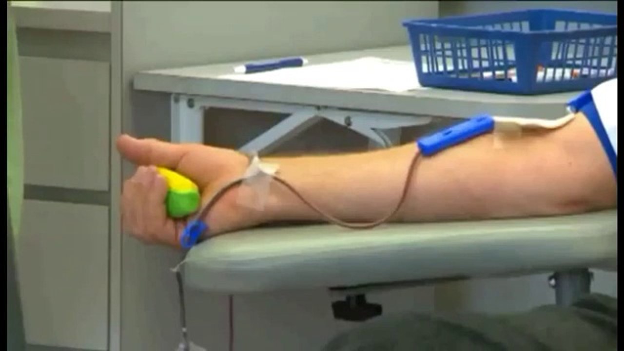 Homosexuals Determined To Donate Blood & Contaminate the Blood Supply