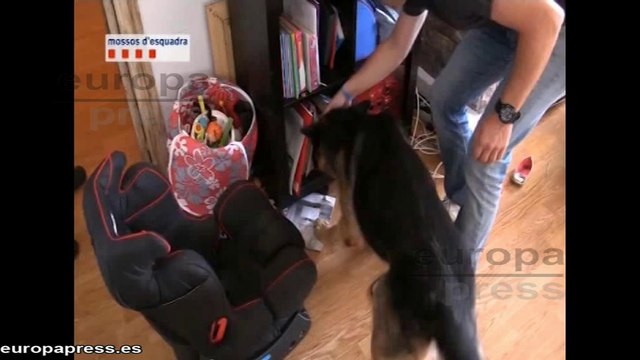 Cae red de extorsionadores y traficantes de droga