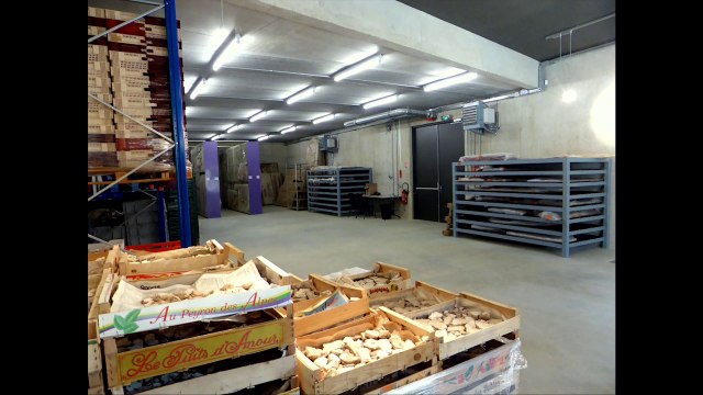 S’unir pour préserver les patrimoines - Le partage des compétences au Centre de conservation et d’études de Soissons