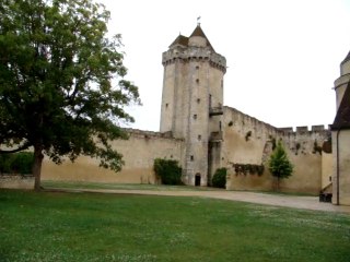 Le château de Blandy Les Tours 223