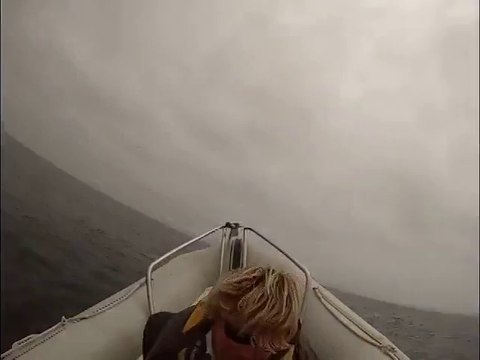 Blue Whale Capsizes Boat In California