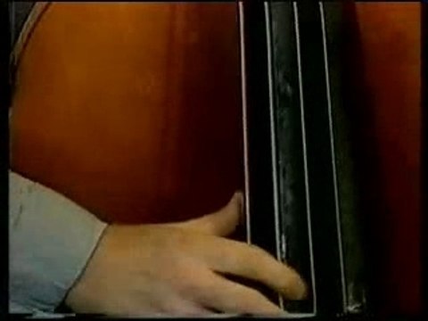 Stardust - Barber Chris 1990?